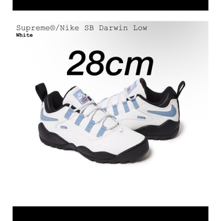ナイキ(NIKE)のSupreme®/Nike SB Darwin Low US10 white(スニーカー)