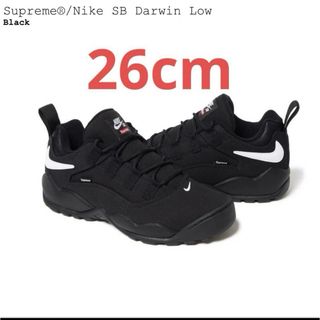 Supreme Nike SB Darwin Low   Black 26cm