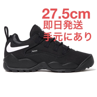Supreme - Supreme × Nike SB Darwin Low "Black"