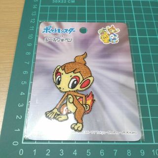 【新品】ワッペン　ヒコザル　全身　ポケモン　ポケットモンスター　アイロン(各種パーツ)