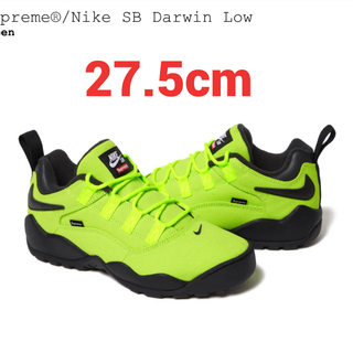 シュプリーム(Supreme)のSupreme Nike SB Darwin Low(スニーカー)