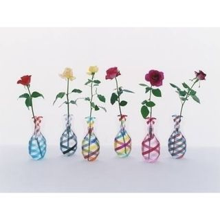 【大人気】D-BROS公式 FLOWER VASE フラワーベース レインボー(花瓶)