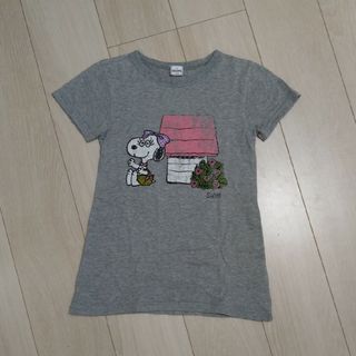 SHIPS　Tシャツ／120cm