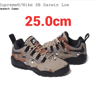 シュプリーム(Supreme)のSupreme Nike SB Darwin Low(スニーカー)