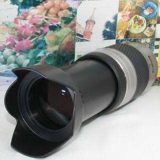 コニカミノルタ(KONICA MINOLTA)の❤️ミノルタ AF 75-300 mm ソニー aマウント用 望遠レンズ❤️(デジタル一眼)