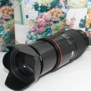 コニカミノルタ(KONICA MINOLTA)の❤️超望遠レンズ❤️ミノルタ AF 75-300 mm ソニー aマウント用❤️(デジタル一眼)