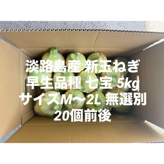兵庫県 淡路島産 新玉ねぎ M～2L 無選別 5kg 早生品種 七宝 20個前後(野菜)