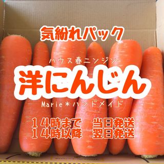 【気紛れ】1kg　洋にんじん　お試しパック　ハウス　野菜　産地直送　期間限定(野菜)