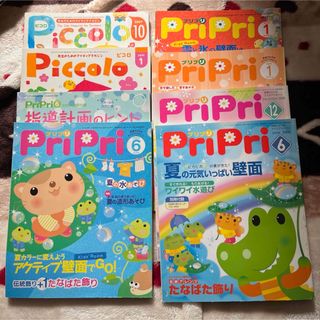 プリプリ　ピコロ　6月号　10月号　1月号　5冊　セット　訳あり(人文/社会)