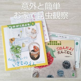 フクインカンショテン(福音館書店)のごはんだよ だんごむし わたしのちいさないきものえん 福音館書店 絵本 昆虫採集(絵本/児童書)