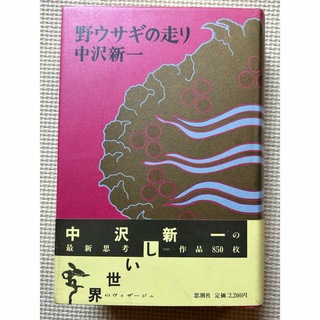 野ウサギの走り  中沢 新一(人文/社会)