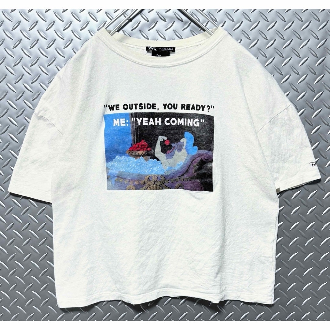 ZARA(ザラ)の【希少】ZARA Disney ポカホンタス パーシー コラボ プリントTシャツ レディースのトップス(Tシャツ(半袖/袖なし))の商品写真