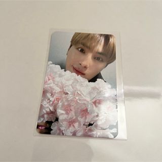 ザボーイズ(THE BOYZ)のTHEBOYSドボイズnectar ハンニョン ミニレコード ラキドロ トレカ(アイドルグッズ)