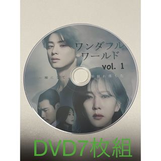 ワンダフルワールド　全14話　DVD  7枚組　チャウヌ　韓国ドラマ　ドラマ(その他)