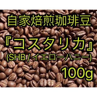 【自家焙煎珈琲豆】 『コスタリカ SHB』〜 ジャガーハニー 〜(コーヒー)