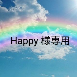 ザセム(the saem)のHappy 様専用(コンシーラー)