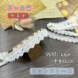 S510【13.5m】花柄コットン刺繍　レース綿刺繍レース生地　アイボリー (生地/糸)