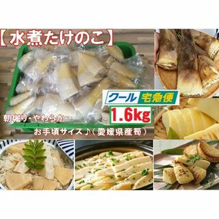 R3.【真空水煮たけのこ1.6kg 4~5袋】(野菜)