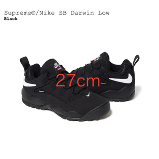シュプリーム(Supreme)のSupreme Nike SB Darwin Low (スニーカー)