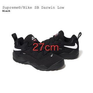 Supreme - Supreme Nike SB Darwin Low 