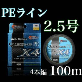 ⭐︎新品⭐︎PEライン 2.5号 100m 4本編 アジング　トラウト エギング(釣り糸/ライン)