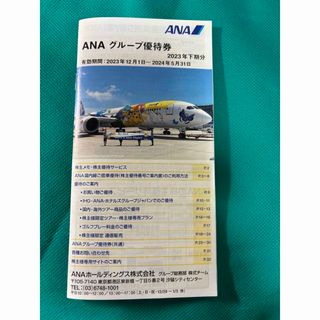 エーエヌエー(ゼンニッポンクウユ)(ANA(全日本空輸))のANAグループ優待券(その他)