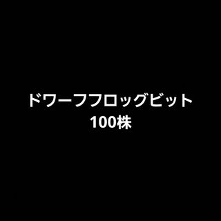 Y.wpc様　専用(アクアリウム)