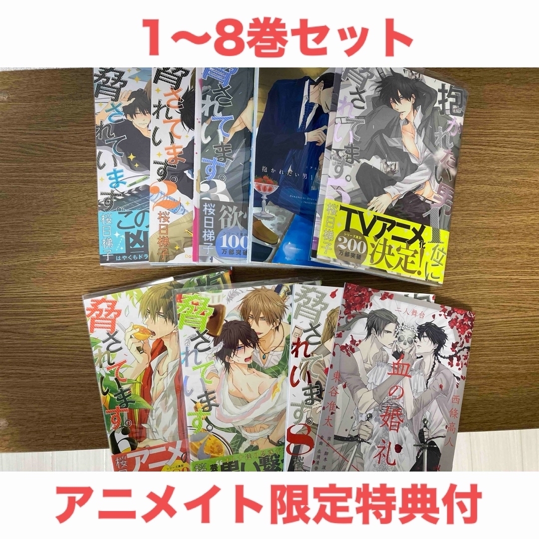 抱かれたい男１位に脅されています。 桜日梯子 エンタメ/ホビーの漫画(ボーイズラブ(BL))の商品写真