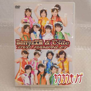 ℃-ute & Berryz工房 DVD PAMPHLET パンフレット(その他)