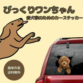 トイプードル 飛び出しステッカー 愛犬 ペット 警告 リアルドックシール車間距離