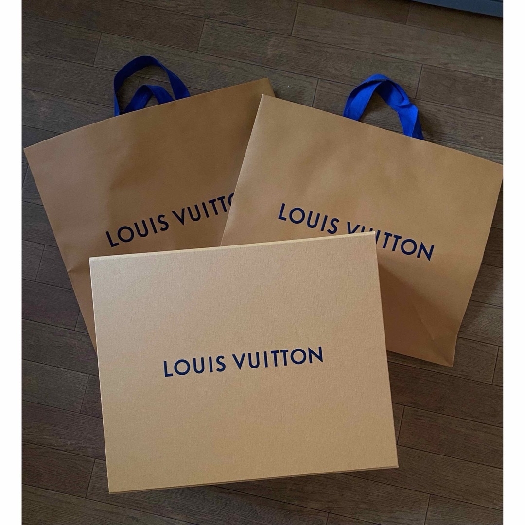 LOUIS VUITTON(ルイヴィトン)のLOUIS VUITTON 美品　箱➕紙袋✖️2枚 レディースのバッグ(ショルダーバッグ)の商品写真