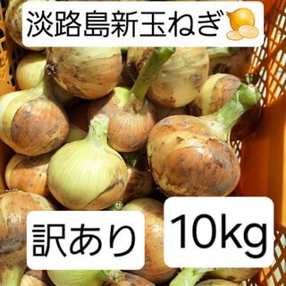 淡路島新玉ねぎ🧅訳あり10kg(野菜)