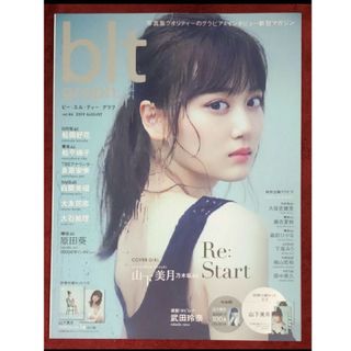 雑誌 blt graph  vol.46(音楽/芸能)