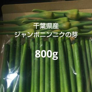 千葉県産ジャンボニンニクの芽800g栽培期間中農薬不使用(野菜)