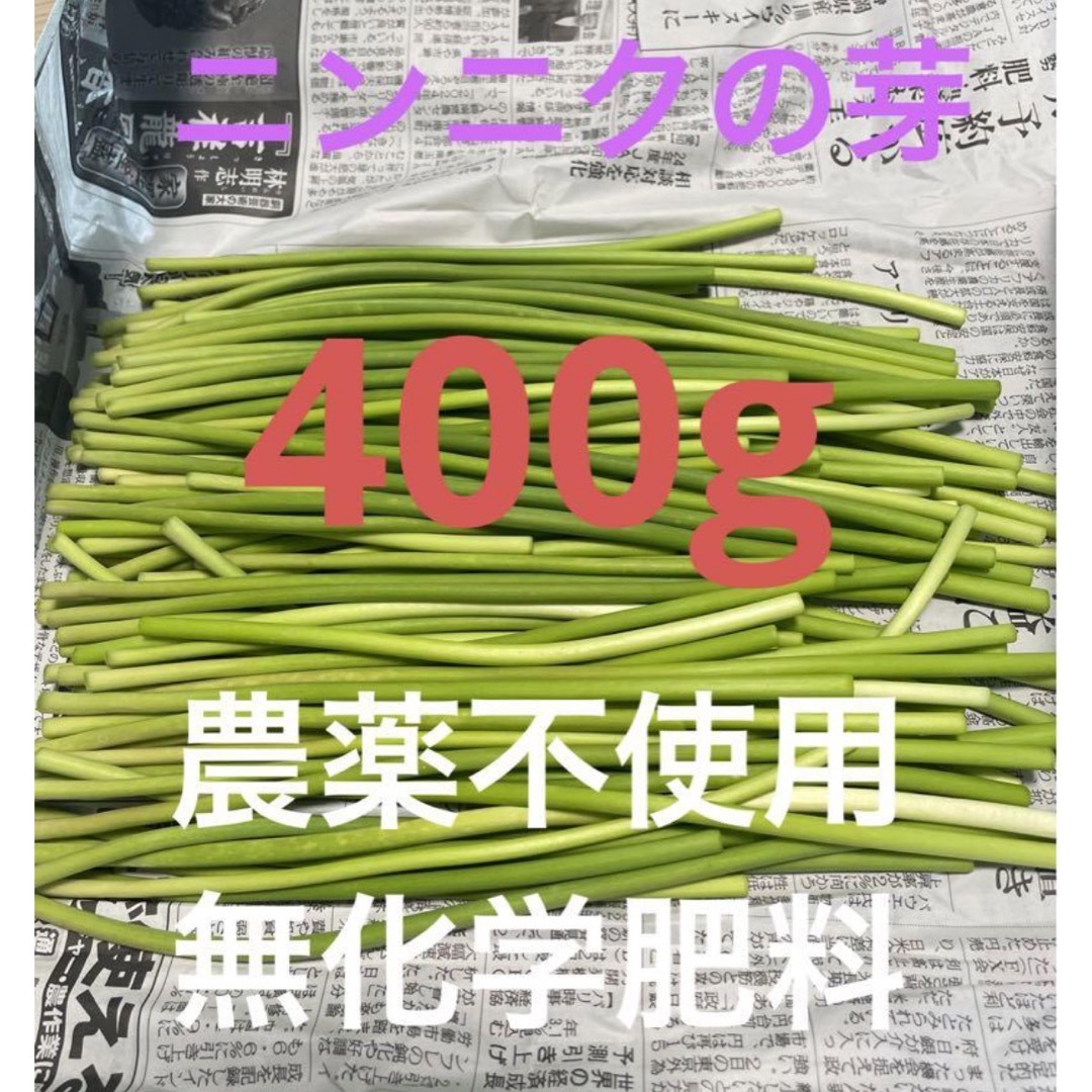 ニンニクの芽　400g 農薬不使用、無化学肥料　三重県産　NO2402 食品/飲料/酒の食品(野菜)の商品写真