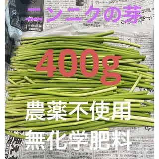 ニンニクの芽　400g 農薬不使用、無化学肥料　三重県産　NO2402(野菜)