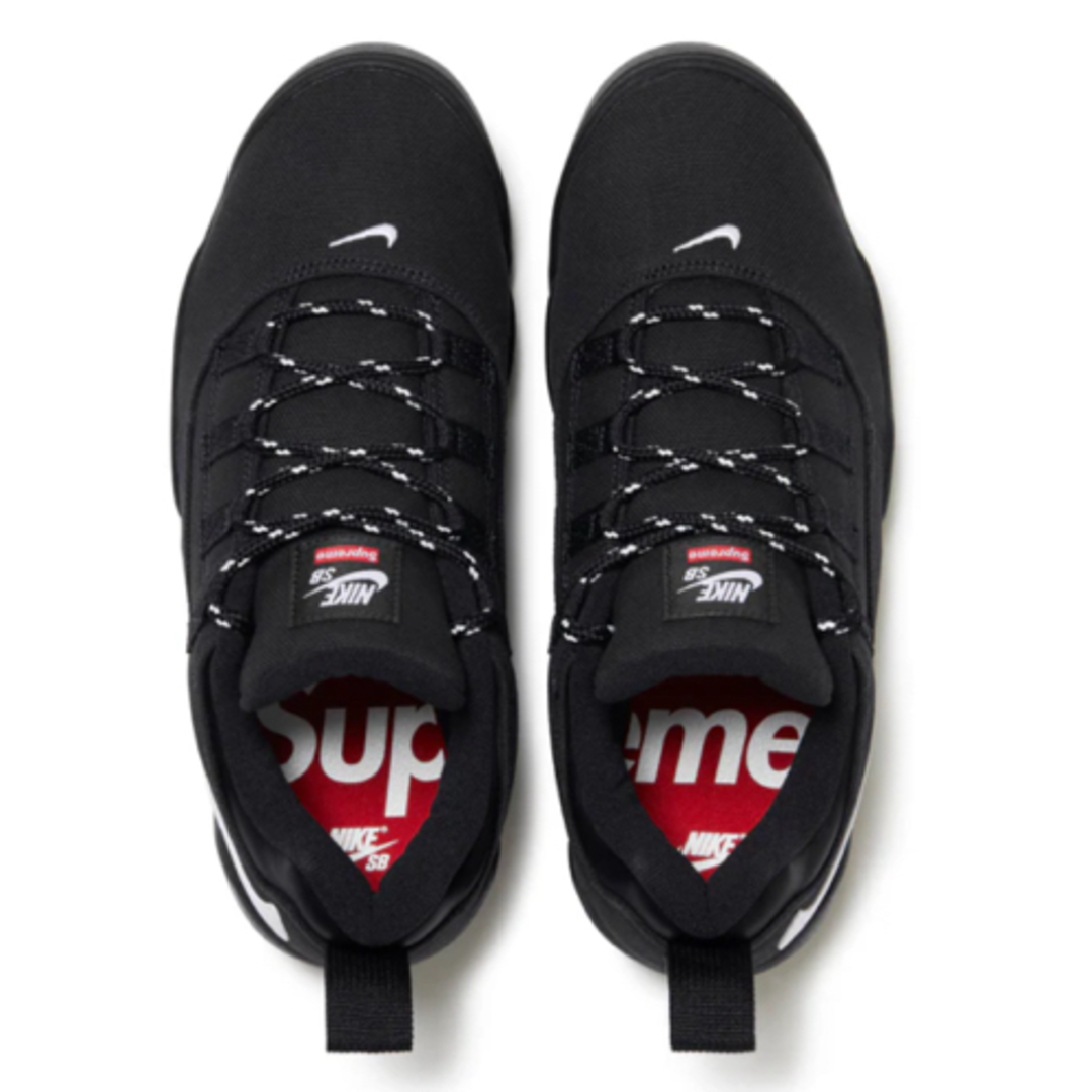 Supreme(シュプリーム)のSupreme × Nike SB Darwin Low Black メンズの靴/シューズ(スニーカー)の商品写真