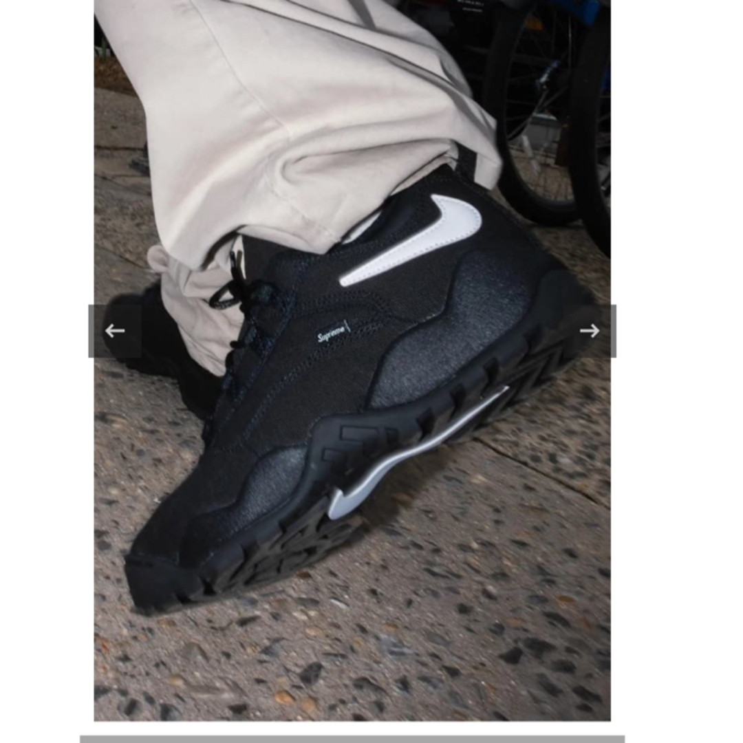 Supreme(シュプリーム)のSupreme × Nike SB Darwin Low Black メンズの靴/シューズ(スニーカー)の商品写真