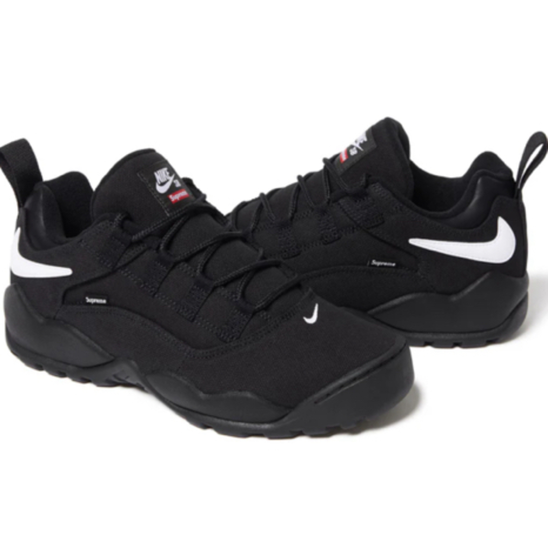 Supreme(シュプリーム)のSupreme × Nike SB Darwin Low Black メンズの靴/シューズ(スニーカー)の商品写真