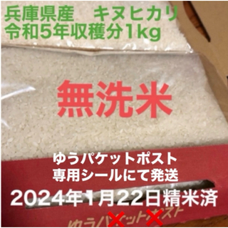 白米　兵庫県産　キヌヒカリ1kg(米/穀物)
