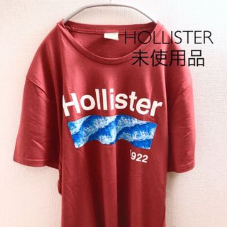 ホリスター(Hollister)の【未使用品】ホリスター Tシャツ Mサイズ(Tシャツ/カットソー(半袖/袖なし))