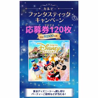 カルビー - カルビー　ファンタスティックキャンペーン　応募券　120点分