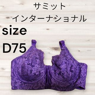 サミットインターナショナル　補正下着　ブラジャー　D75(ブラ)