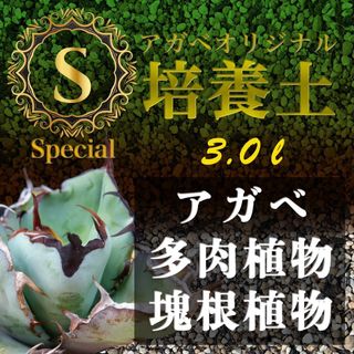 アガベ土☆オリジナル培養土Special 3㍑（アガベ・多肉・サボテンの土 ）(その他)