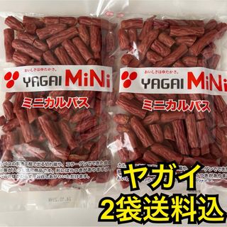 最安値　大人気‼️お徳用　ヤガイのコラーゲン入りミニカルパス250g✖︎2袋(その他)