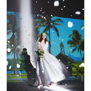 エル(ELLE)のELLE MARIAGE ウエディングドレス ワタベウェディング(ウェディングドレス)