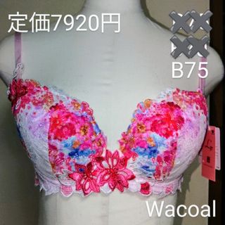 ワコール(Wacoal)のゴールデンウィーク価格！新品ルジェWacoalブラ日本製B75㎝定価7920円(ブラ)