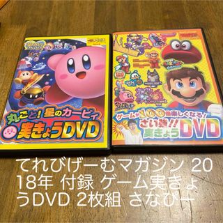 てれびげーむマガジン 2018年 付録 DVD 2枚組 ゲーム実きょう さなぴー