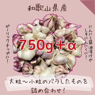 【和歌山県産】採れたて生にんにく750g＋α・訳あり(野菜)