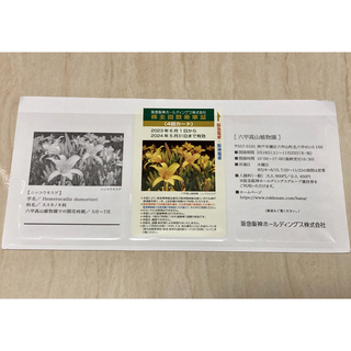 阪急阪神 株主回数乗車証 4回カード(鉄道乗車券)